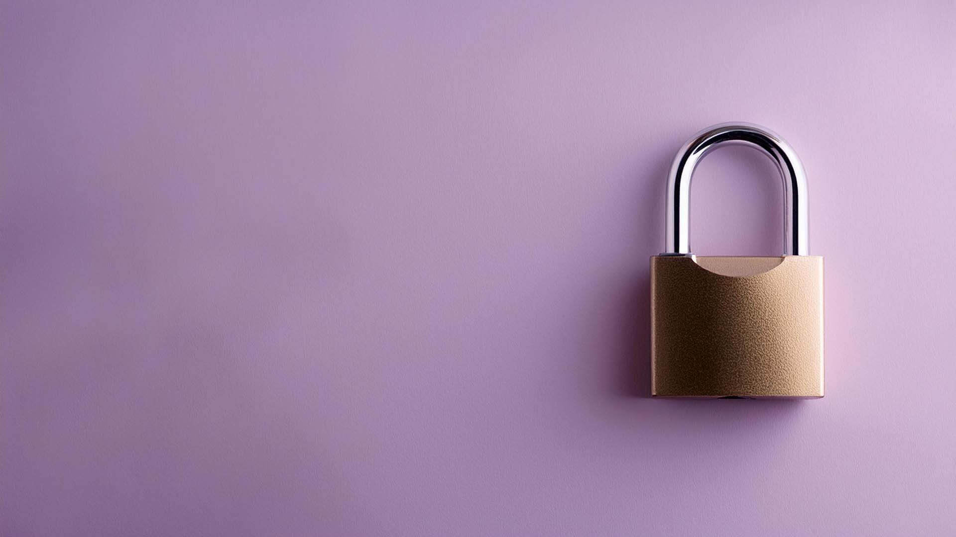 padlock to protect